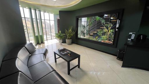 عکس کلینیک زیبایی الف