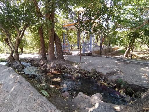 عکس کلبه اقامتی بام طلایی