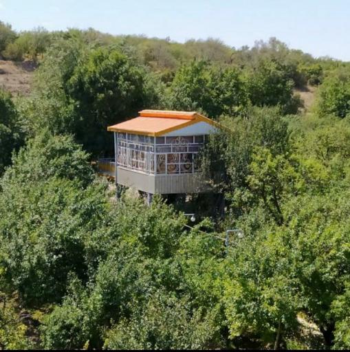 عکس کلبه اقامتی بام طلایی