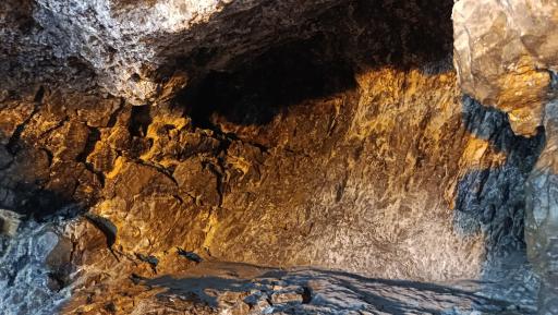 عکس بقعه بی بی شهر بانو (س)