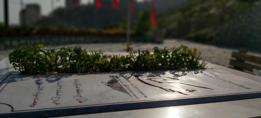 عکس مجموعه فرهنگی ورزشی جماران