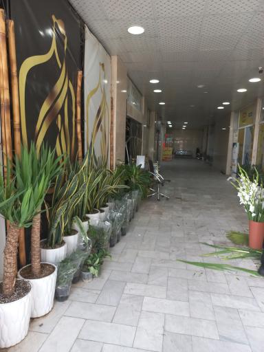 عکس پاساژ مهدی منتظر 