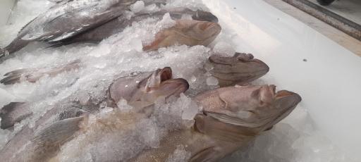 عکس فروشگاه مرغ و گوشت نمونه