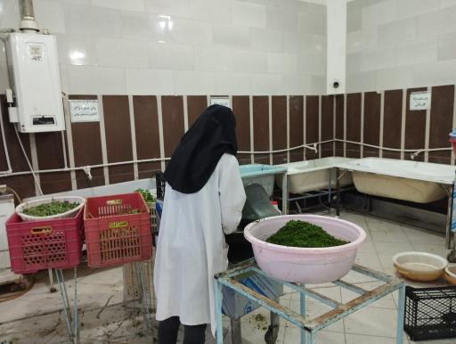 عکس کارگاه عصاره گیری و سبزیجات فرح پور