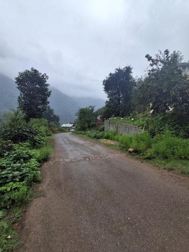 عکس اقامتگاه جنگلی رحمانپور 