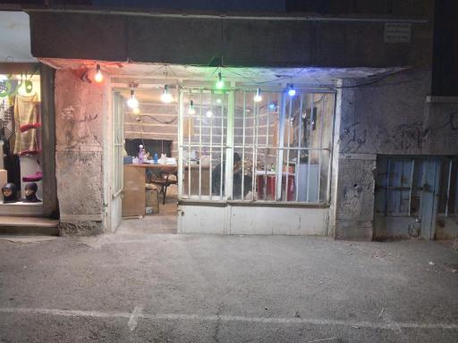 عکس فنی حرفه ای  سروش