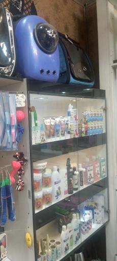 عکس پت شاپ مایا 