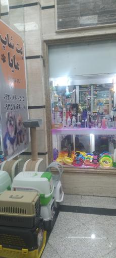 عکس پت شاپ مایا 