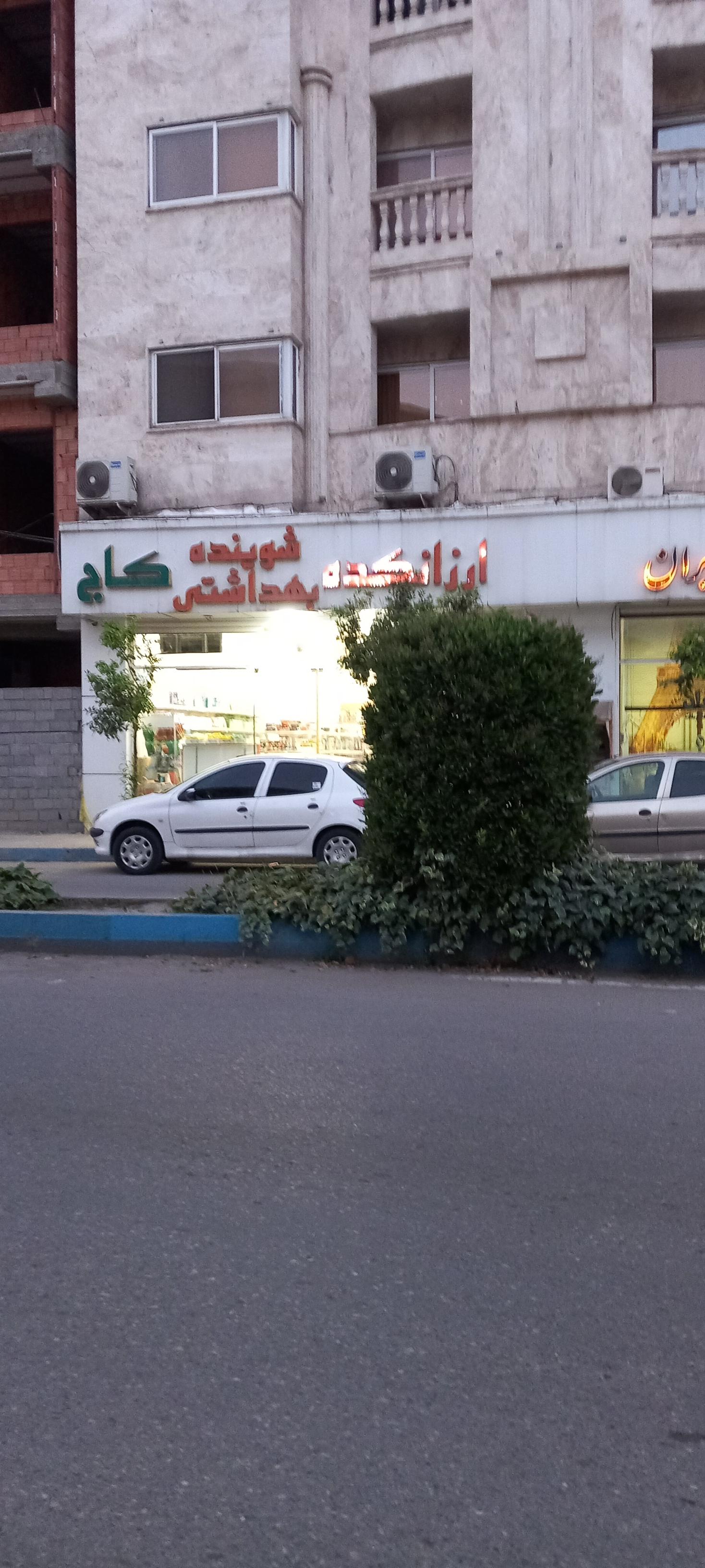 عکس ارزانکده کاج