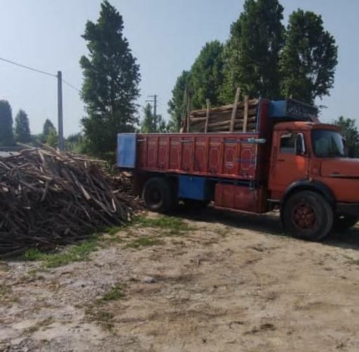 عکس بازرگانی چوب دِلفان