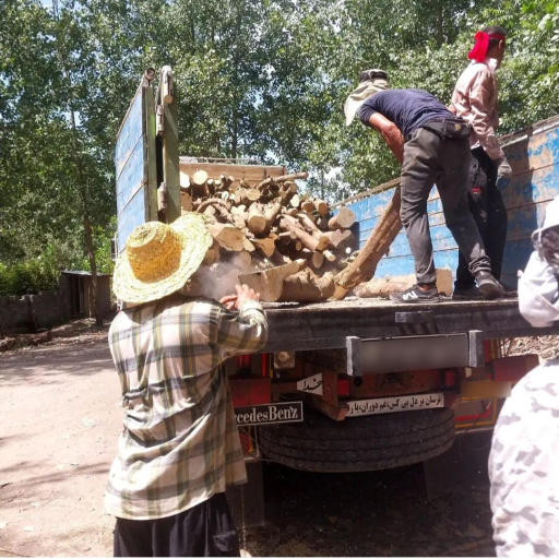 عکس بازرگانی چوب دِلفان