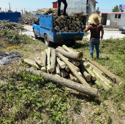 عکس بازرگانی چوب دِلفان