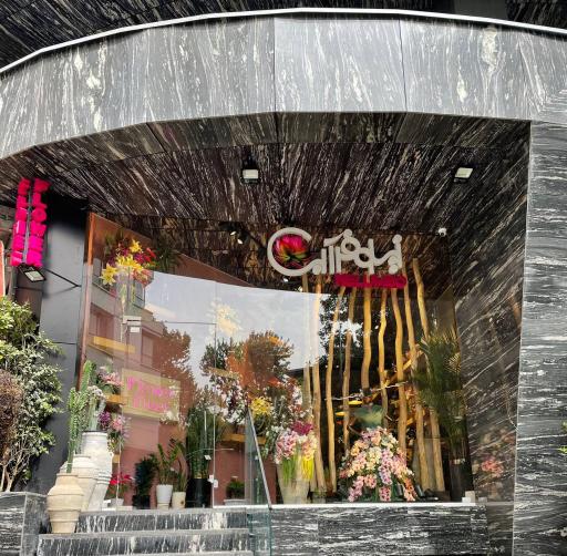 عکس گلفروشی نیلوفر آبی Nelumbo