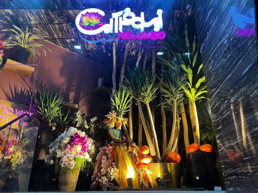 عکس گلفروشی نیلوفر آبی Nelumbo