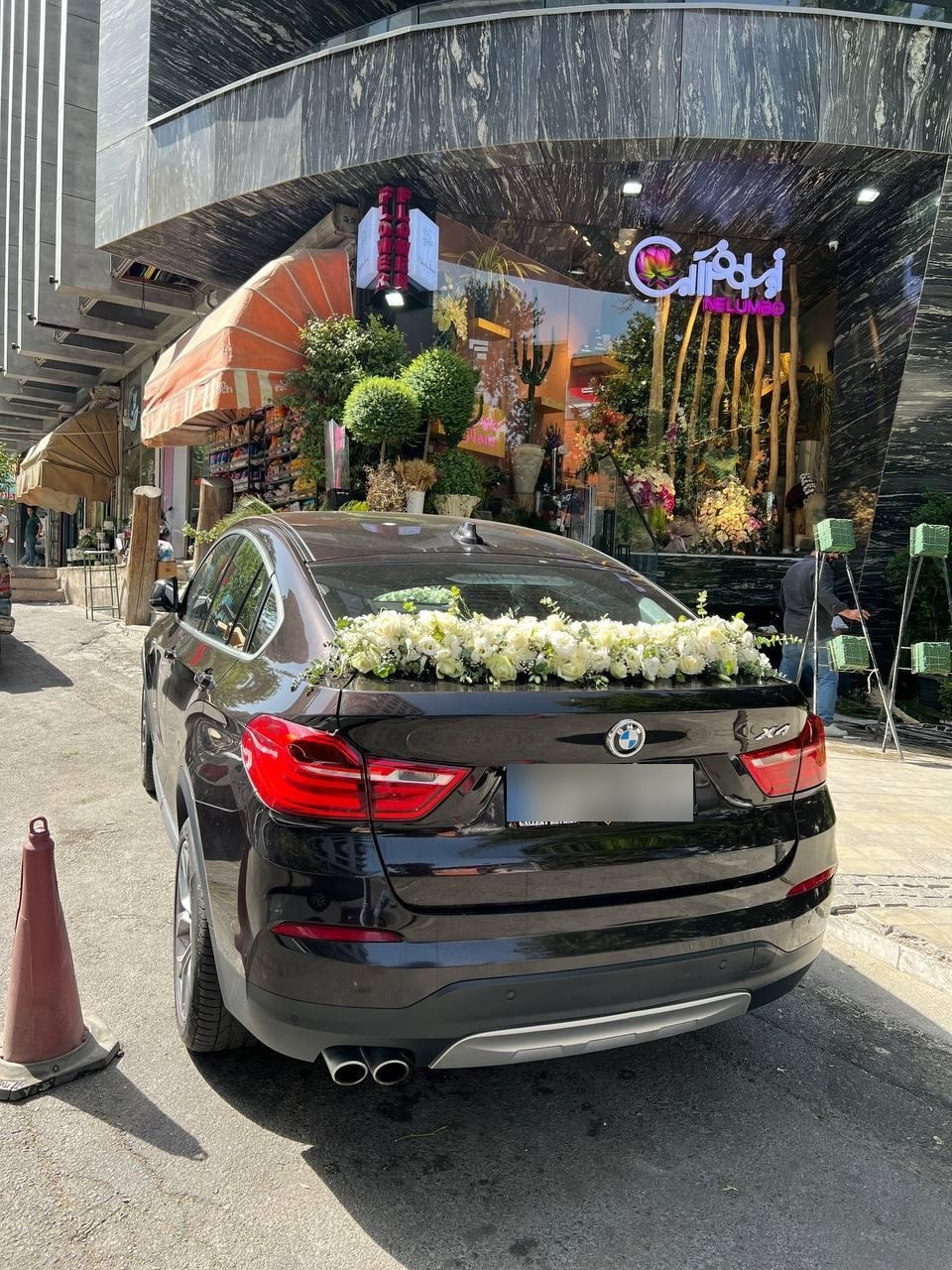 عکس گلفروشی نیلوفر آبی Nelumbo