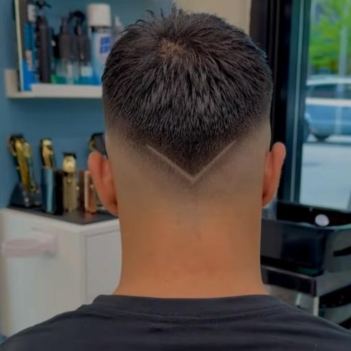 عکس پیرایش کاکتوس