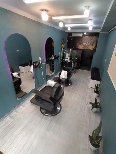 عکس پیرایش کاکتوس