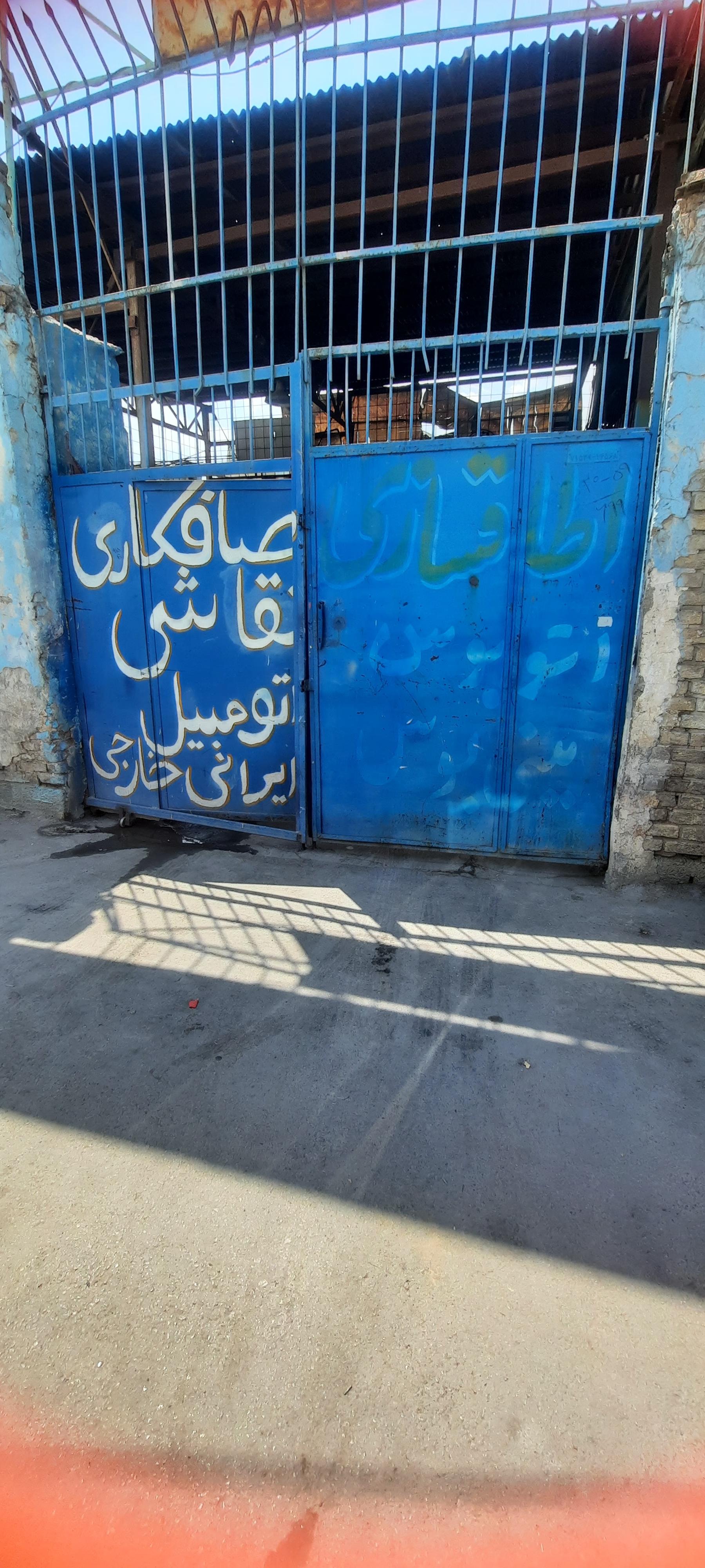 عکس صافکاری عقاب