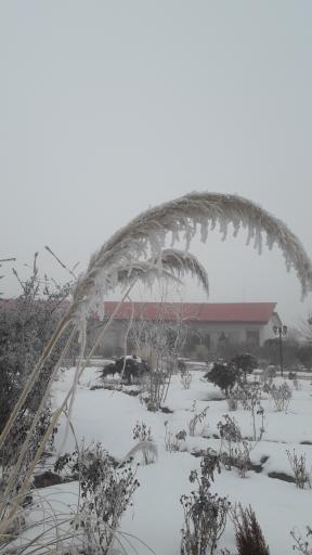هتل عصر طلایی
