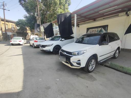 عکس سپر سازی و نقاشی پرشین