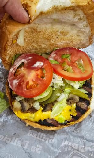 عکس پیتزا زرین