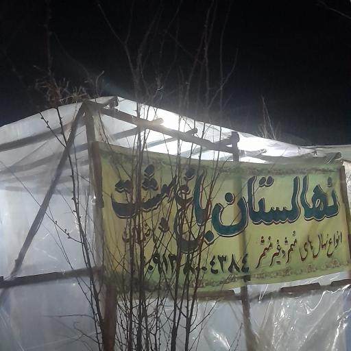 عکس نهالستان و گلخانه باغ بهشت