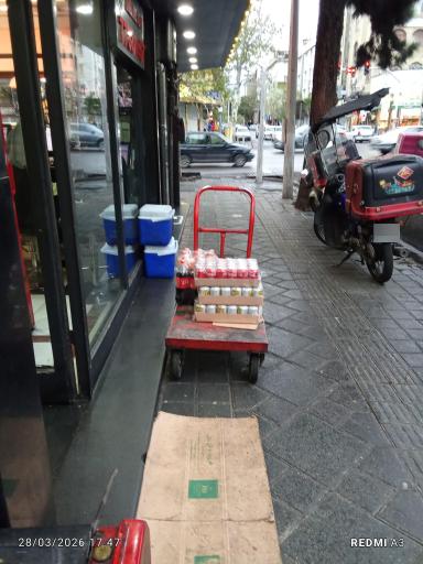 عکس پیتزا زرین