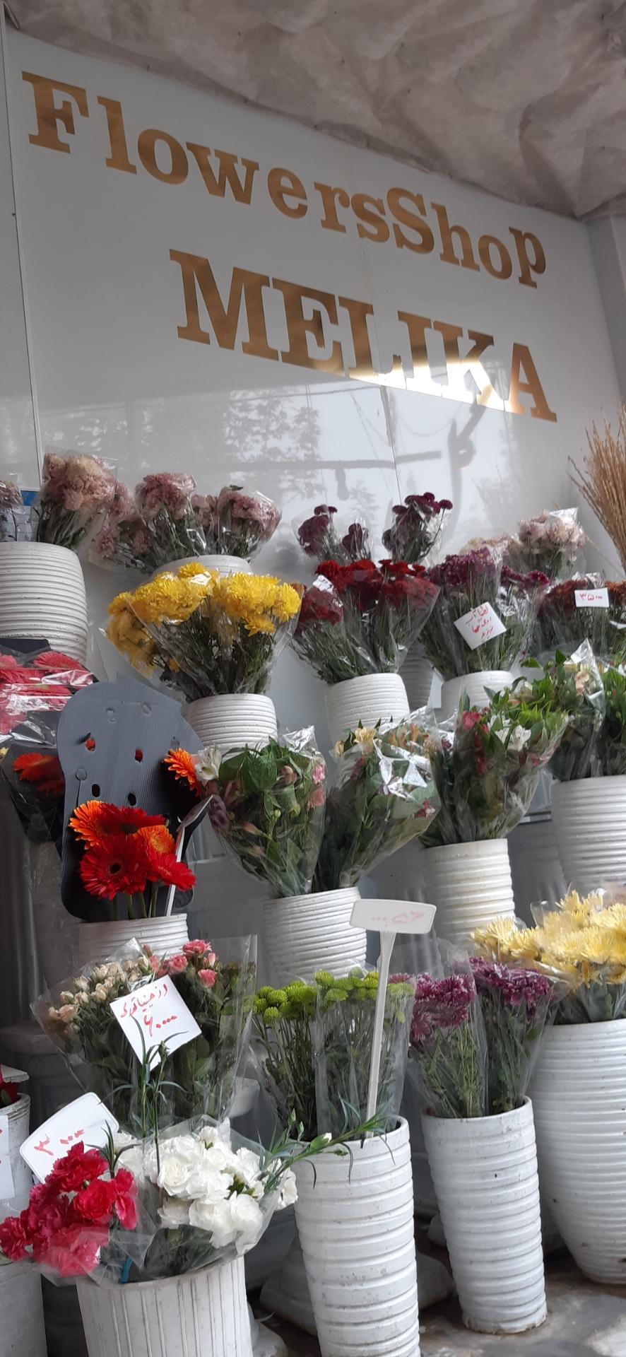 عکس گل فروشی ملیکا