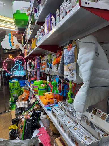 عکس مینی پت شاپ