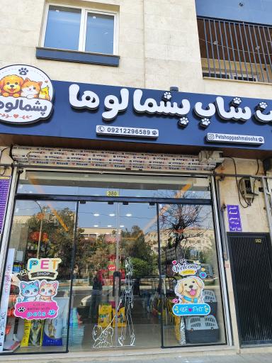 عکس پت شاپ پشمالوها