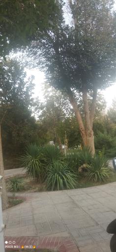 عکس بوستان آرش