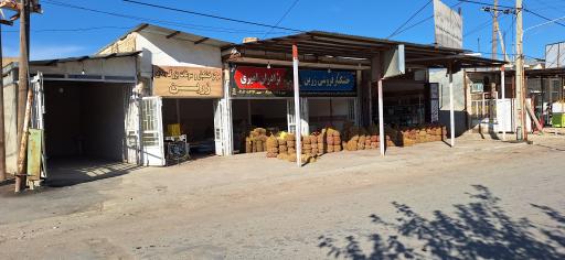 عکس خشکبار زرین