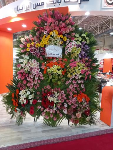 عکس گل نارسیس