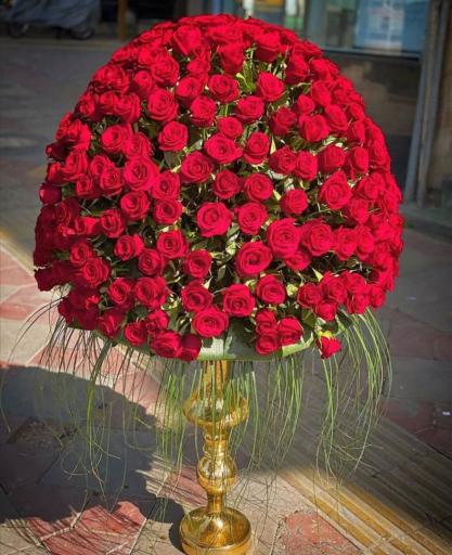 عکس گل نارسیس