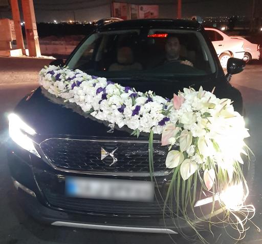 عکس گل نارسیس