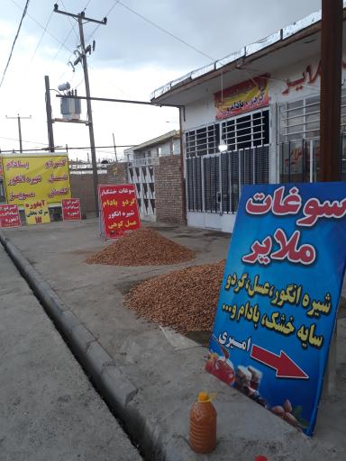 عکس خشکبار زرین