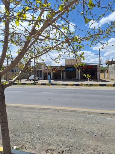 عکس خشکبار زرین