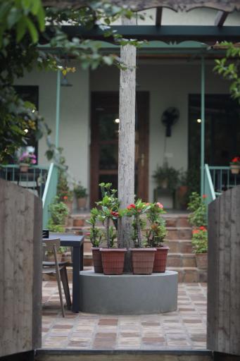 عکس کافه سلده