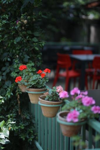 عکس کافه سلده