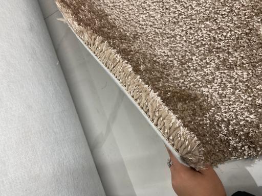 عکس پخش موکت نصیری