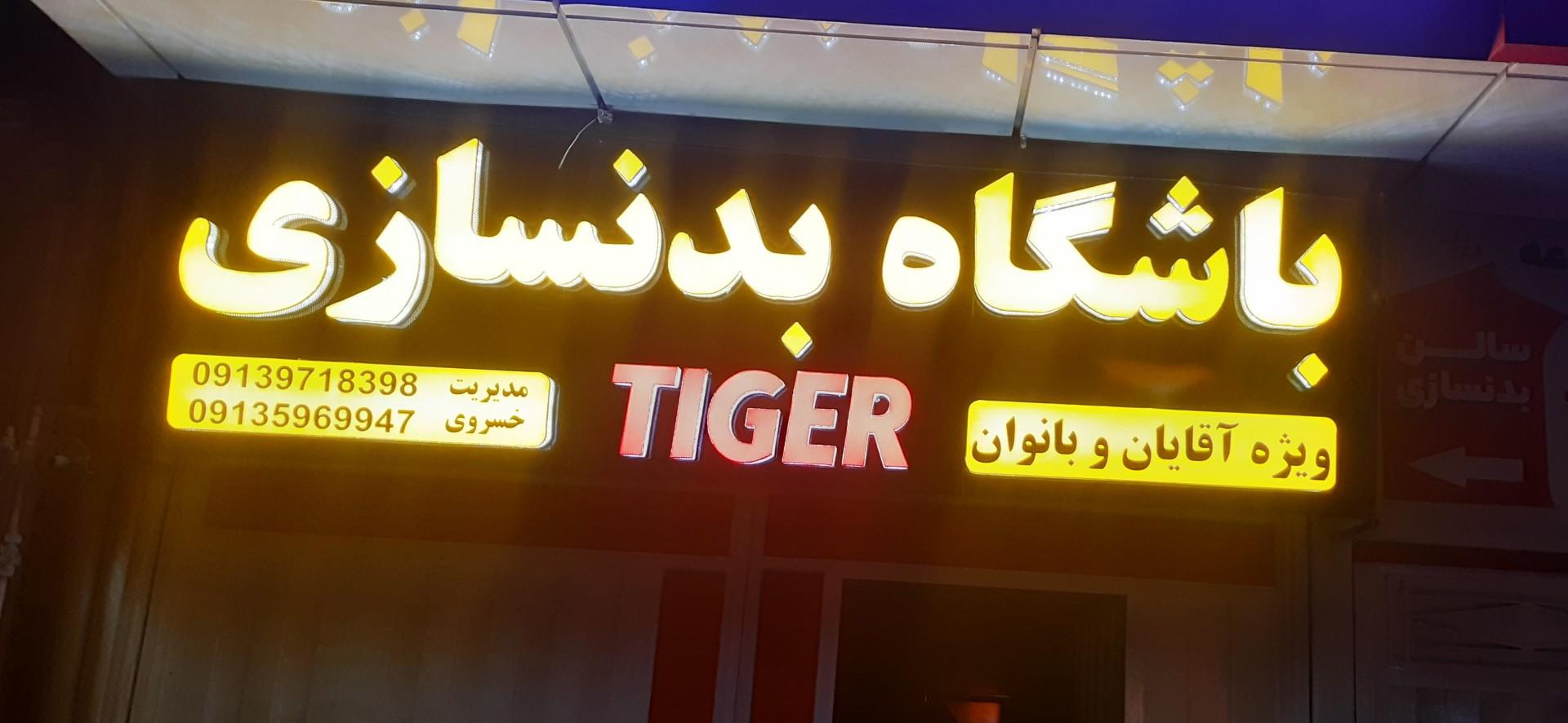 عکس باشگاه بدنسازی تایگر