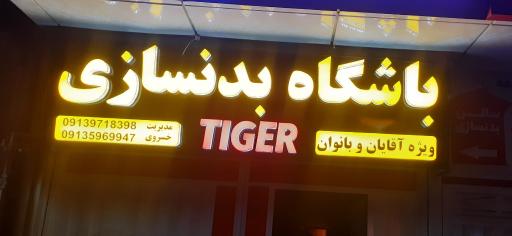 عکس باشگاه بدنسازی تایگر