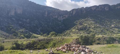 عکس بابامنیر