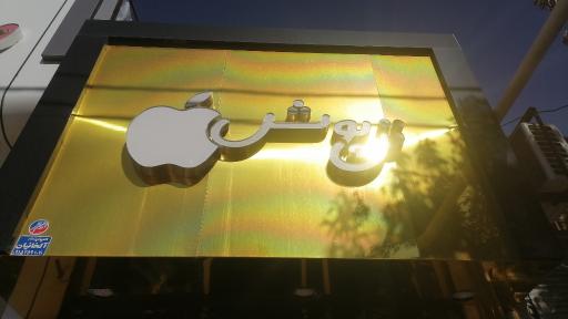 عکس تن پوش سییب 