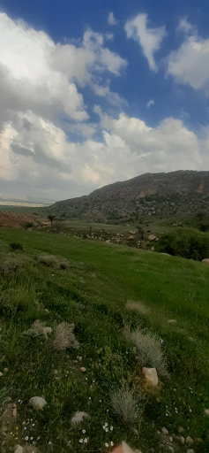 عکس بابامنیر