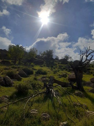 عکس بابامنیر