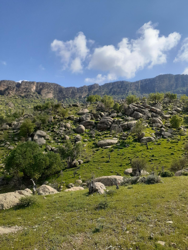 عکس بابامنیر