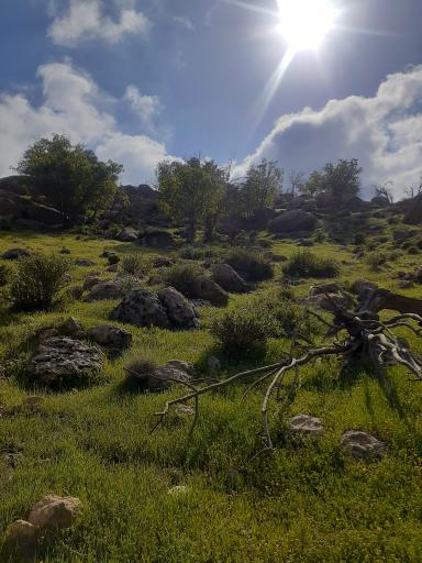 عکس بابامنیر