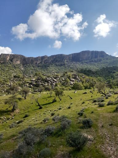 عکس بابامنیر