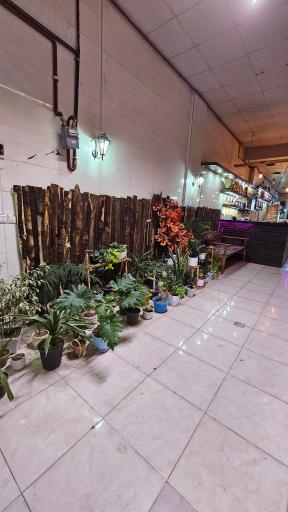 عکس کافه طلاب